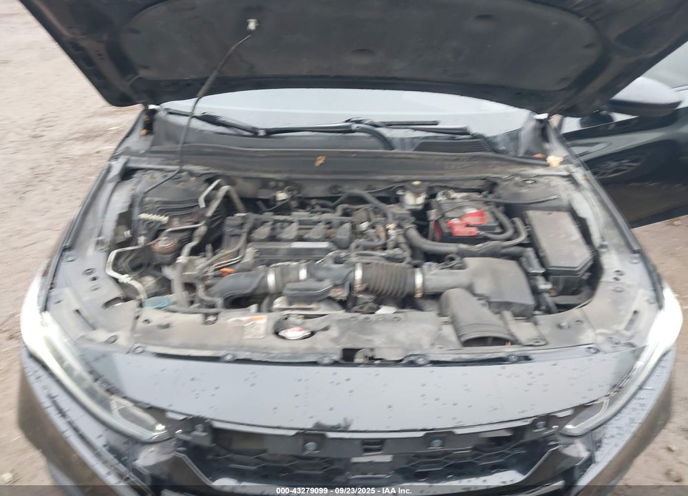 2019 HONDA ACCORD VIN: 1HGCV1F3XKA171794