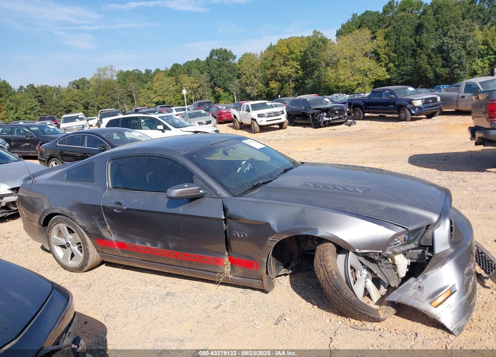 2014 FORD MUSTANG VIN: 1ZVBP8CF6E5233164