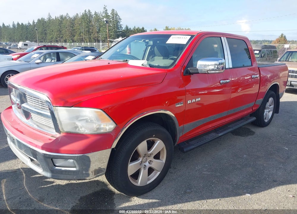 2009 DODGE RAM 1500 VIN: 1D3HV13T29J505567