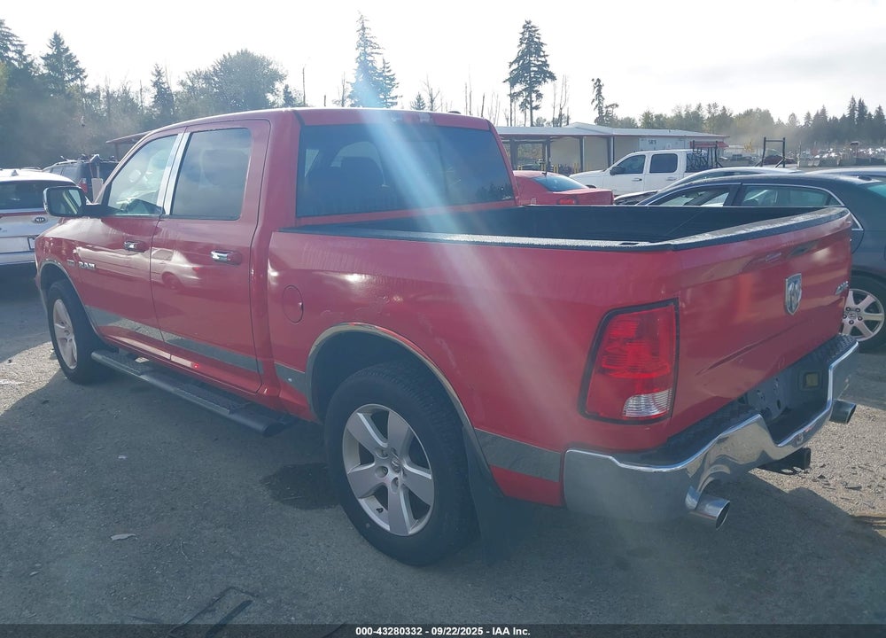 2009 DODGE RAM 1500 VIN: 1D3HV13T29J505567