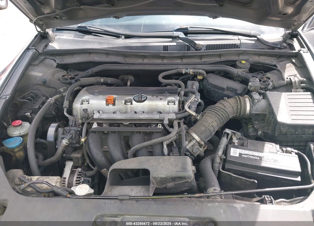 2010 HONDA ACCORD VIN: 1HGCS1B36AA005561