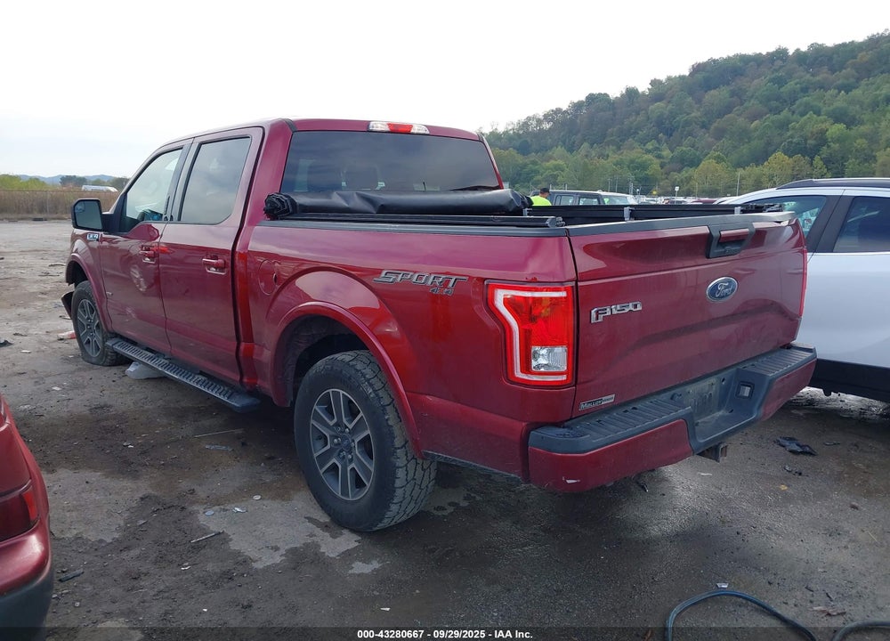 2016 FORD F-150 XLT VIN: 1FTEW1EP4GFB42178