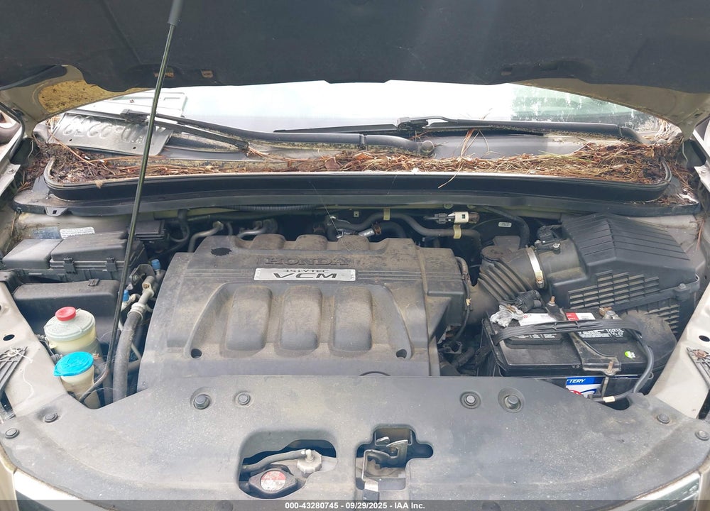 2008 HONDA ODYSSEY EX-L VIN: 5FNRL38738B017521