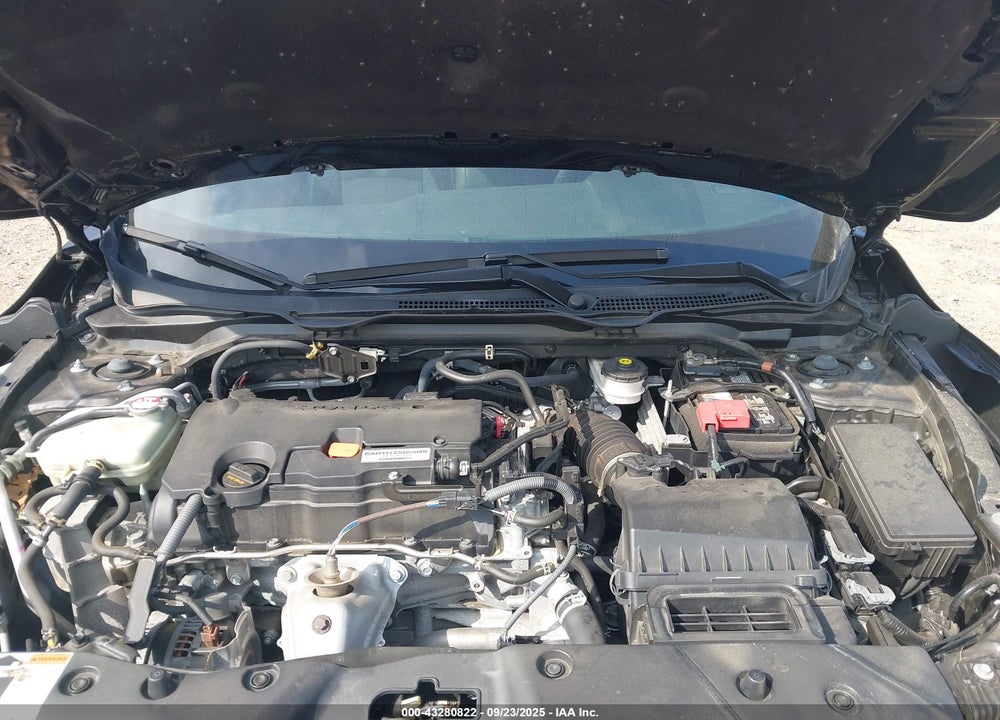 2019 HONDA CIVIC VIN: 2HGFC2F88KH504774