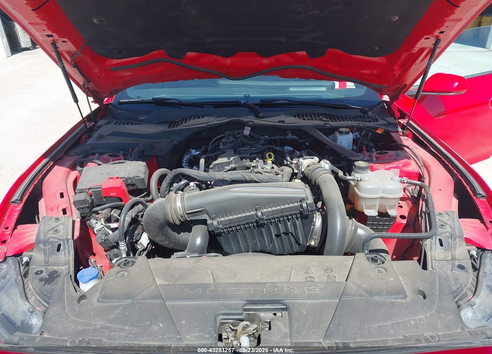 2024 FORD MUSTANG ECOBOOST PREMIUM VIN: 1FAGP8UH7R5113054