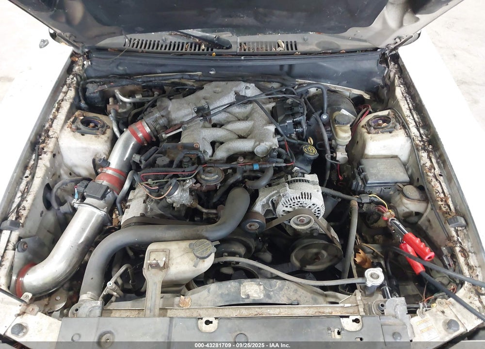 1999 FORD MUSTANG VIN: 1FAFP4043XF147281