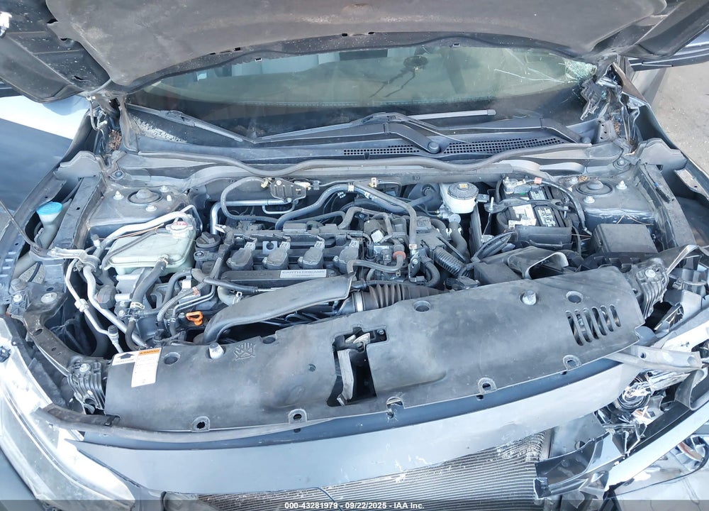 2019 HONDA CIVIC VIN: JHMFC1F33KX012368