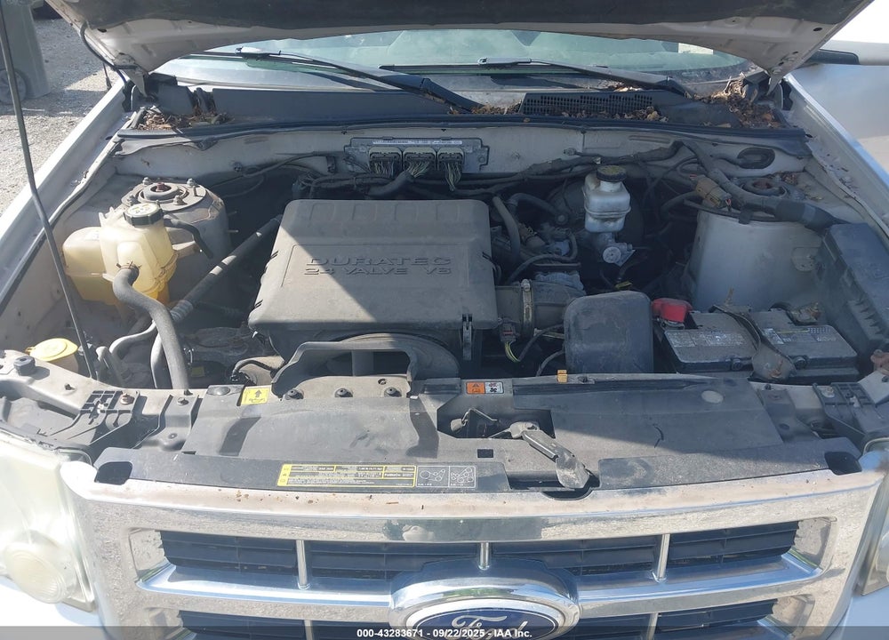 2010 FORD ESCAPE VIN: 1FMCU9EG9AKC69319