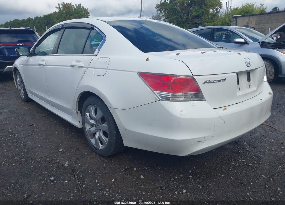 2010 HONDA ACCORD VIN: 1HGCP2F87AA803080