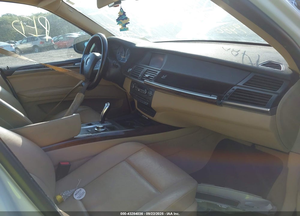 2009 BMW X5 VIN: 5UXFE43529L262395