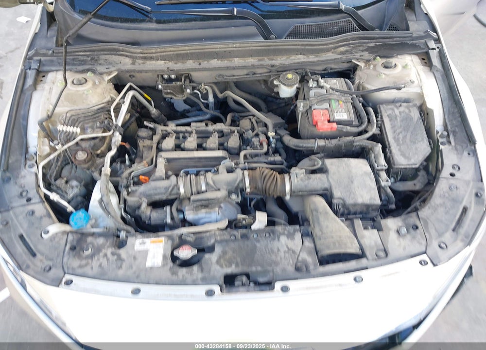 2019 HONDA ACCORD LX VIN: 1HGCV1F18KA014165