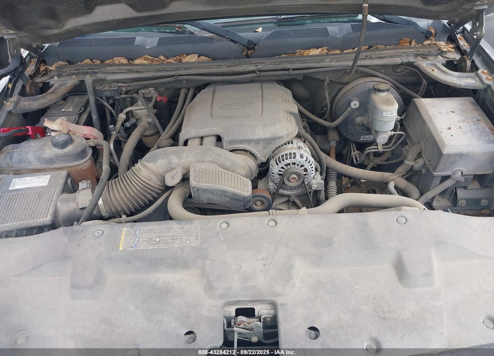2009 CHEVROLET SILVERADO 1500 VIN: 1GCEC29059E126379