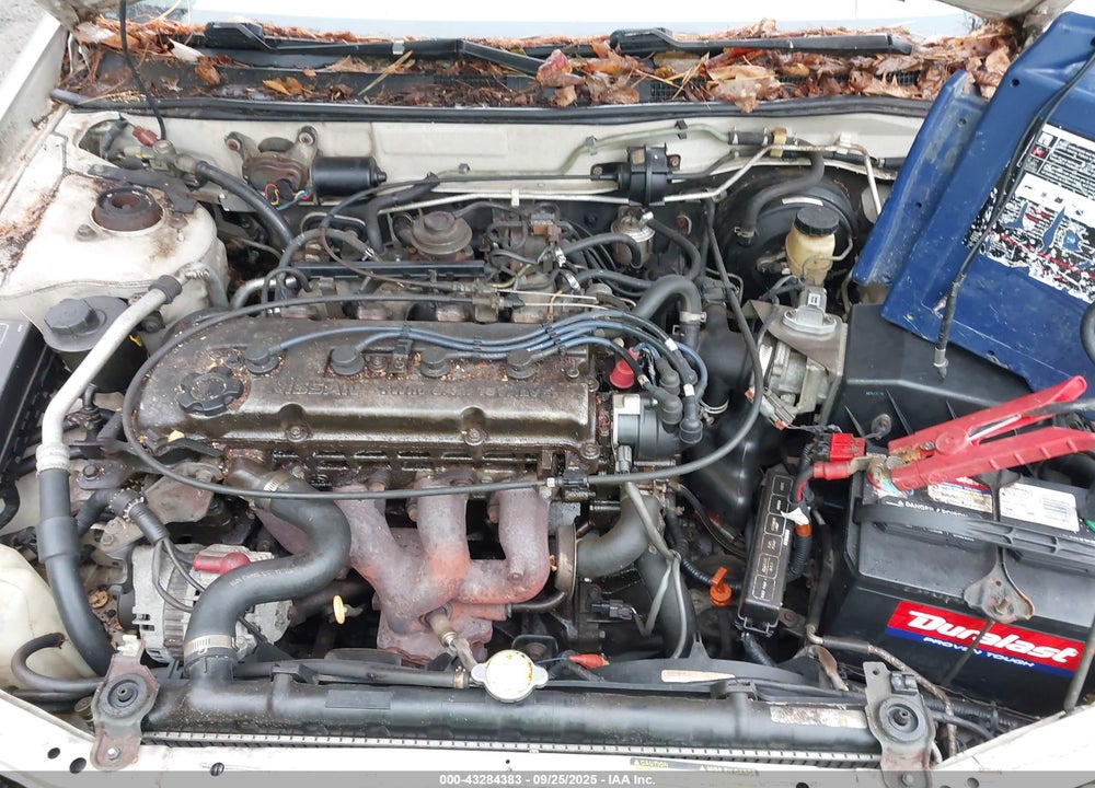 1996 NISSAN ALTIMA XE/GXE/SE/GLE VIN: 1N4BU31D8TC173533