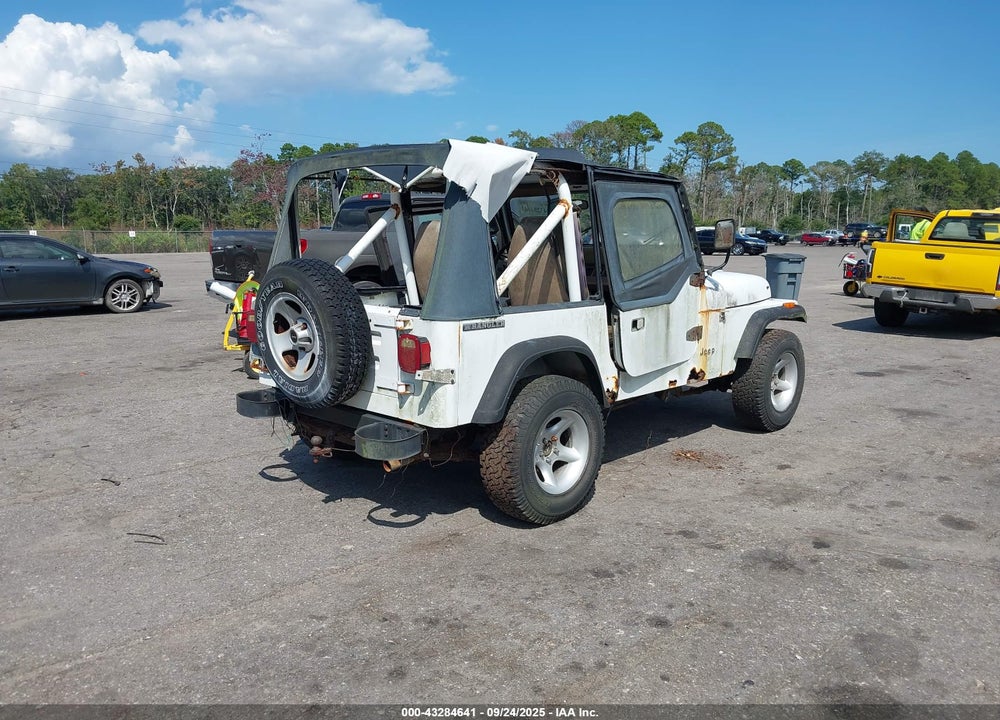1991 JEEP WRANGLER / YJ S VIN: 2J4FY19P3MJ117746
