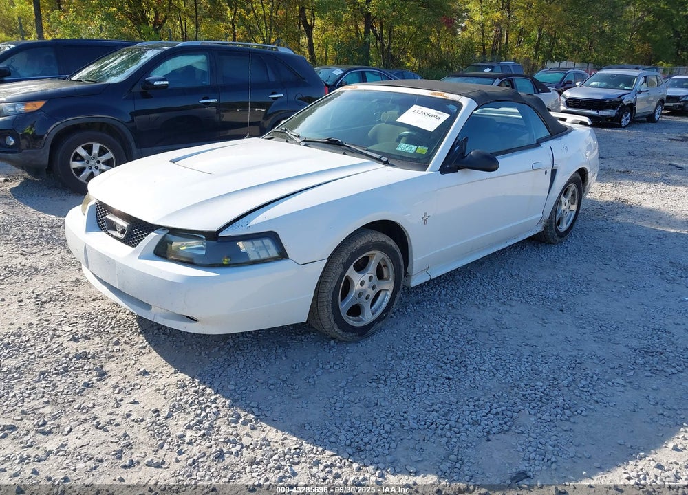 2003 FORD MUSTANG VIN: 1FAFP44423F317442
