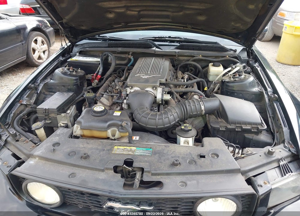 2008 FORD MUSTANG VIN: 1ZVHT82H585111909