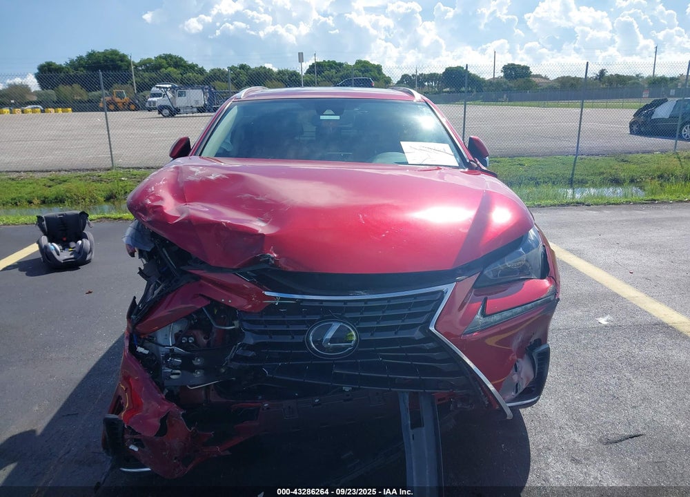 2020 LEXUS NX 300 VIN: JTJDARBZ2L5013884