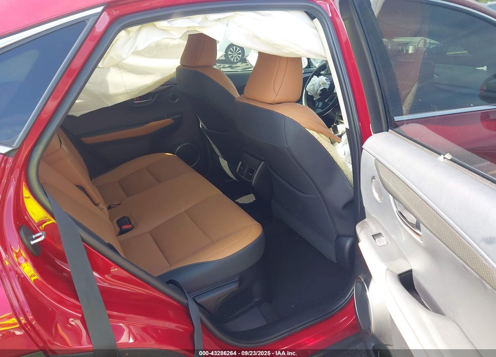 2020 LEXUS NX 300 VIN: JTJDARBZ2L5013884