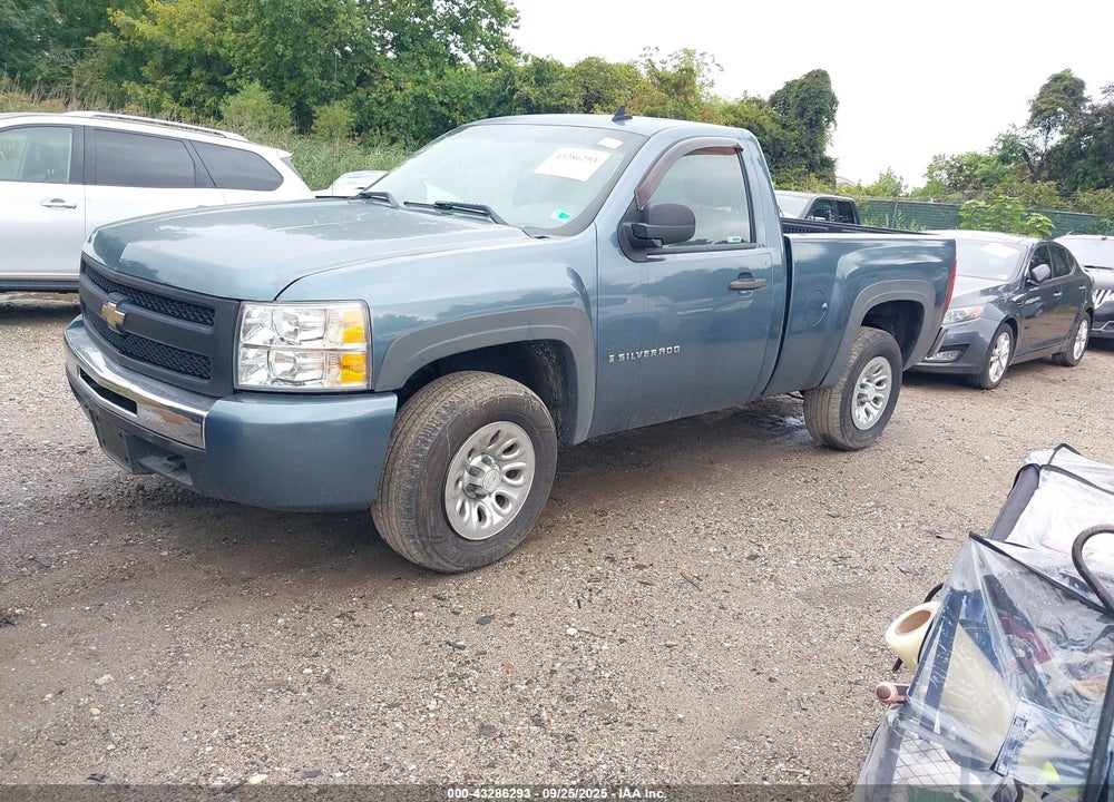 2009 CHEVROLET SILVERADO 1500 WORK TRUCK VIN: 1GCEK14C89Z118669