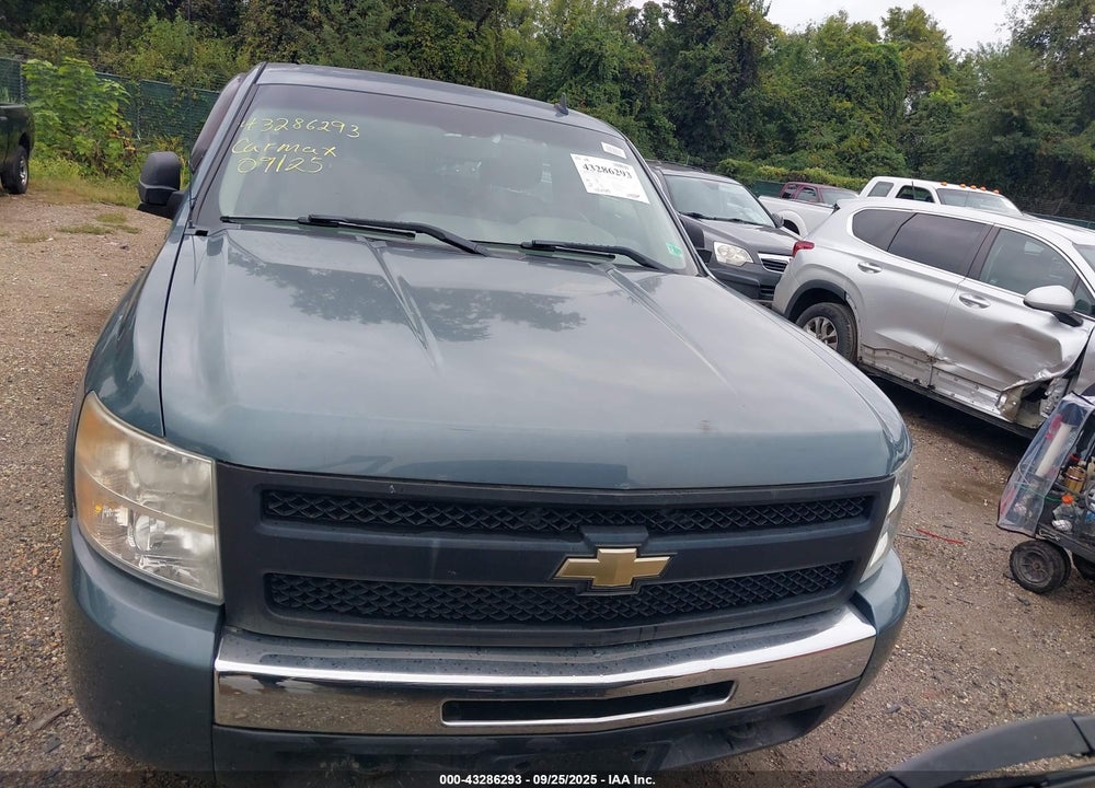 2009 CHEVROLET SILVERADO 1500 WORK TRUCK VIN: 1GCEK14C89Z118669