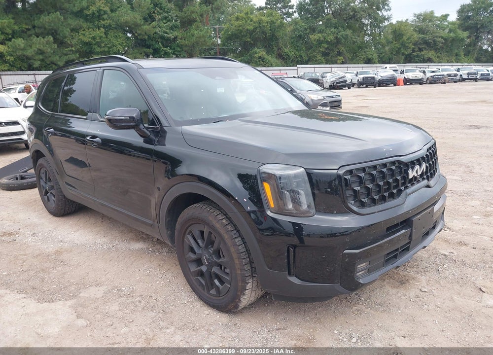 2024 KIA TELLURIDE SX PRESTIGE X-PRO VIN: 5XYP5DGC7RG458519
