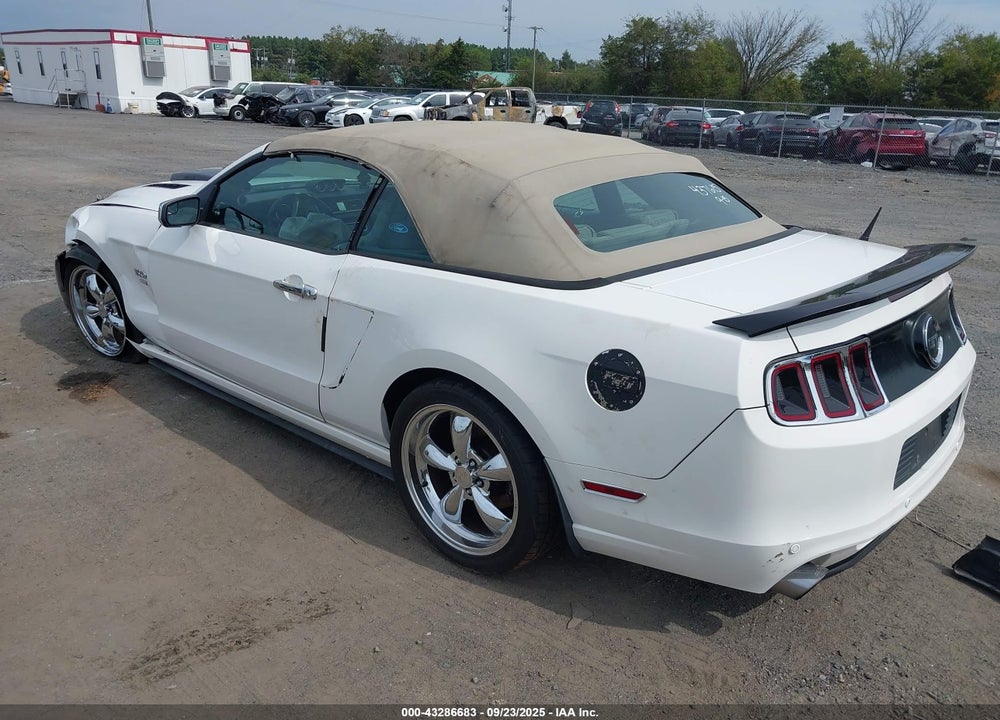 2013 FORD MUSTANG GT VIN: 1ZVBP8FF4D5215661