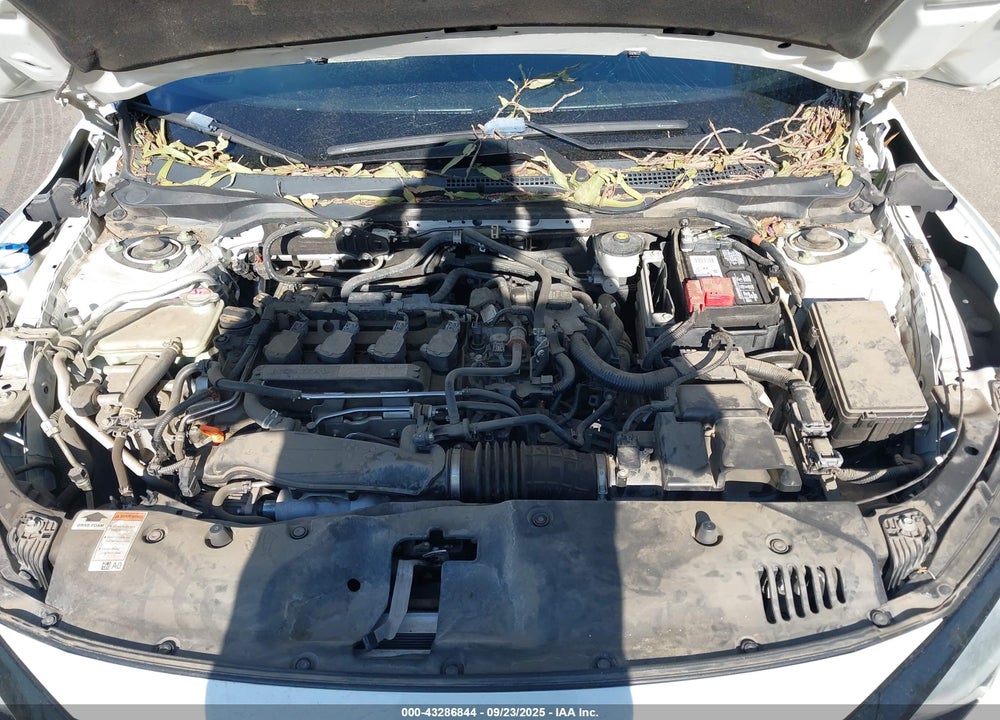 2019 HONDA CIVIC EX VIN: SHHFK7H67KU424302