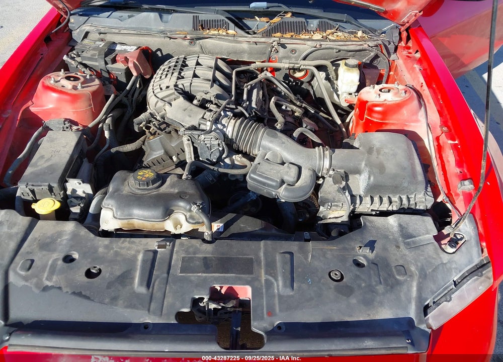 2013 FORD MUSTANG VIN: 1ZVBP8AM3D5274819