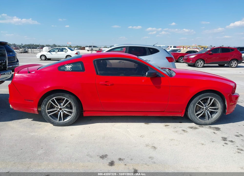 2013 FORD MUSTANG VIN: 1ZVBP8AM3D5274819