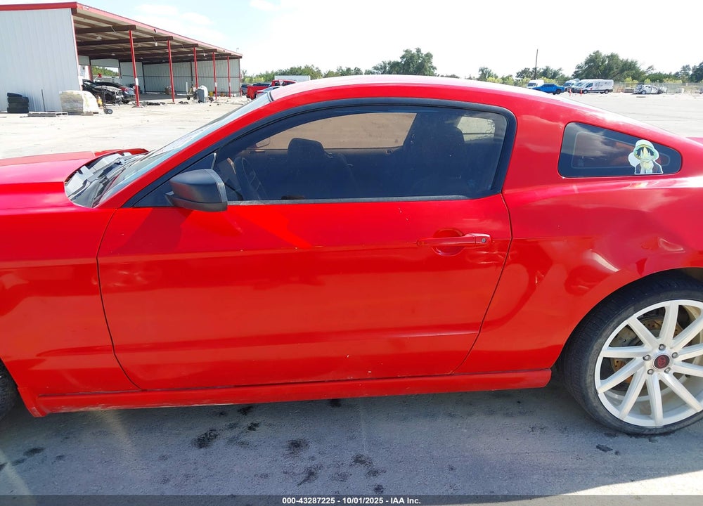 2013 FORD MUSTANG VIN: 1ZVBP8AM3D5274819