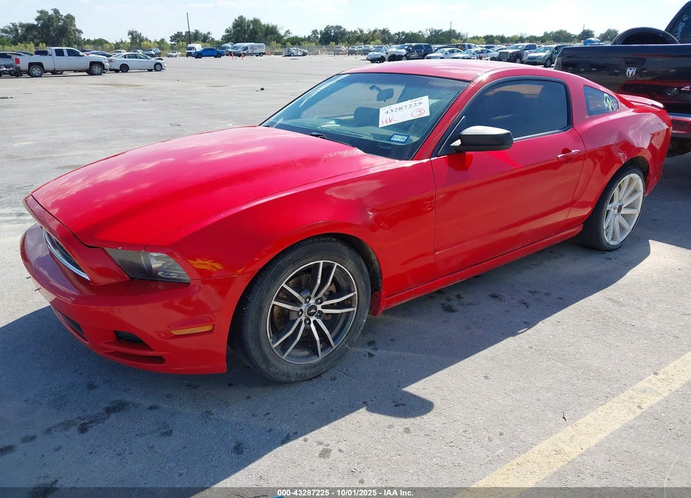 2013 FORD MUSTANG VIN: 1ZVBP8AM3D5274819