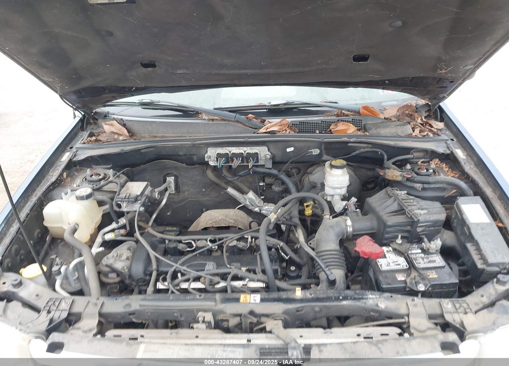 2008 FORD ESCAPE VIN: 1FMCU03Z68KD50434