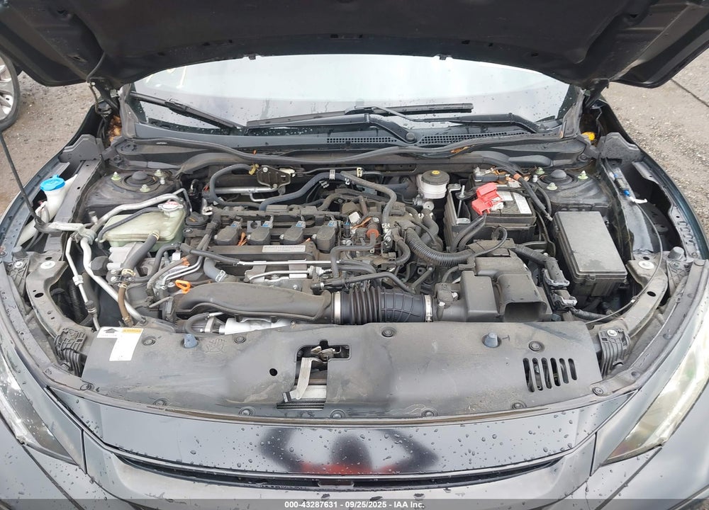 2019 HONDA CIVIC VIN: SHHFK7H68KU418346