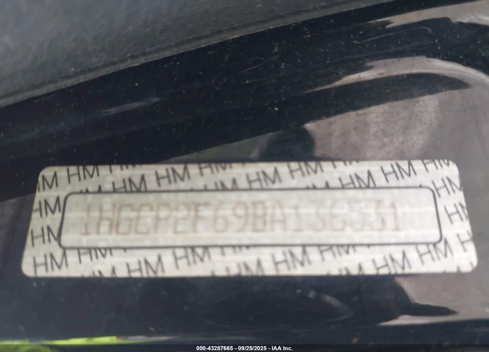 2011 HONDA ACCORD VIN: 1HGCP2F69BA136531
