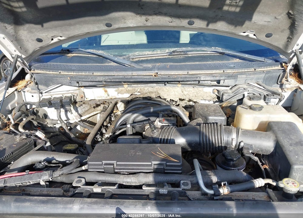 2010 FORD F-150 VIN: 1FTEX1E87AFB89153