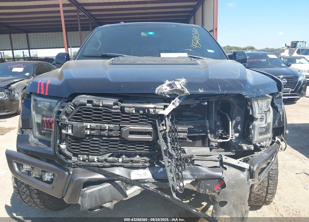 2017 FORD F-150 RAPTOR VIN: 1FTFW1RG8HFA53407