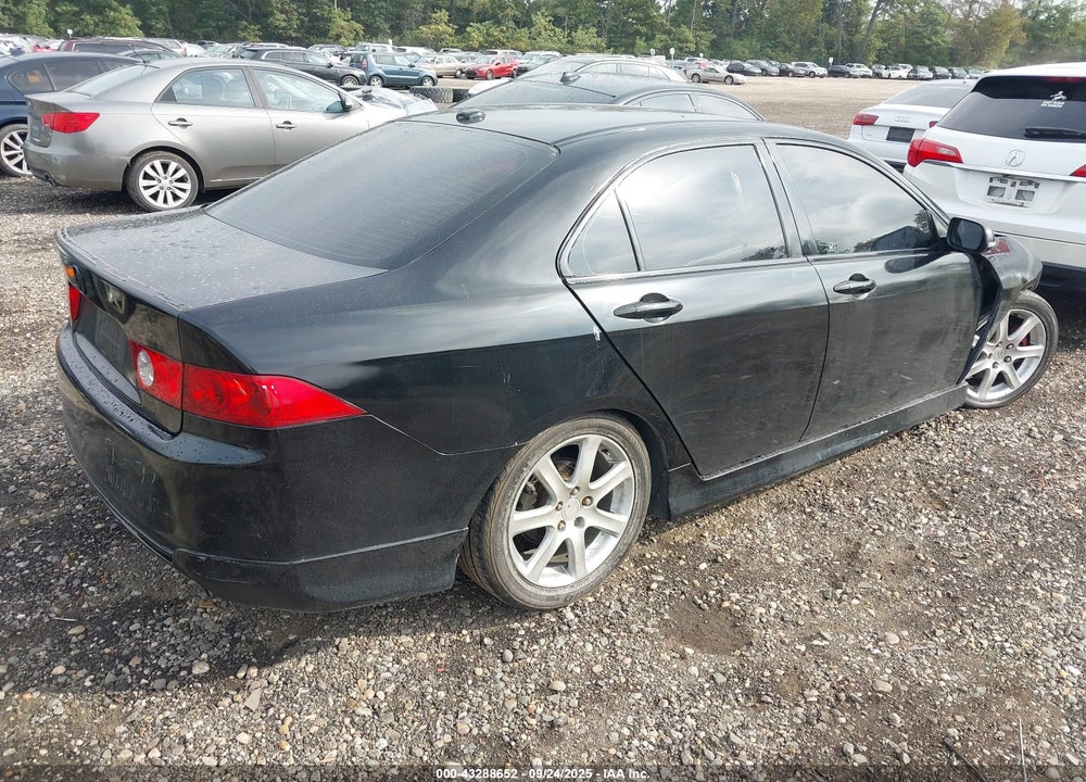 2005 ACURA TSX VIN: JH4CL96825C031504