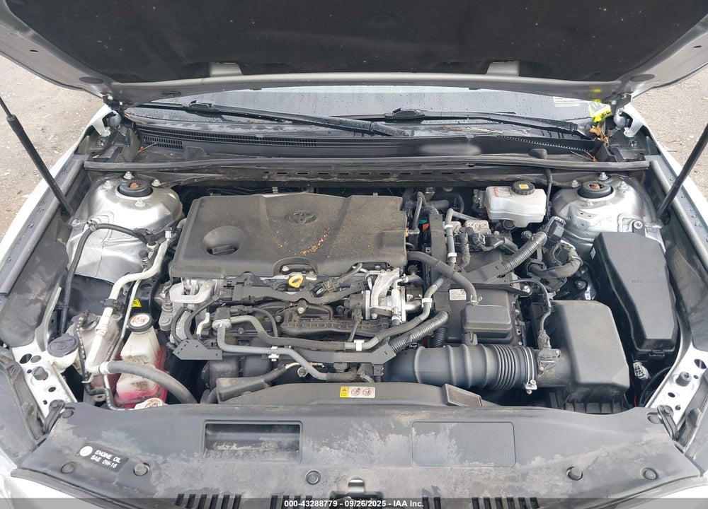 2020 TOYOTA CAMRY VIN: 4T1G31AK2LU542169