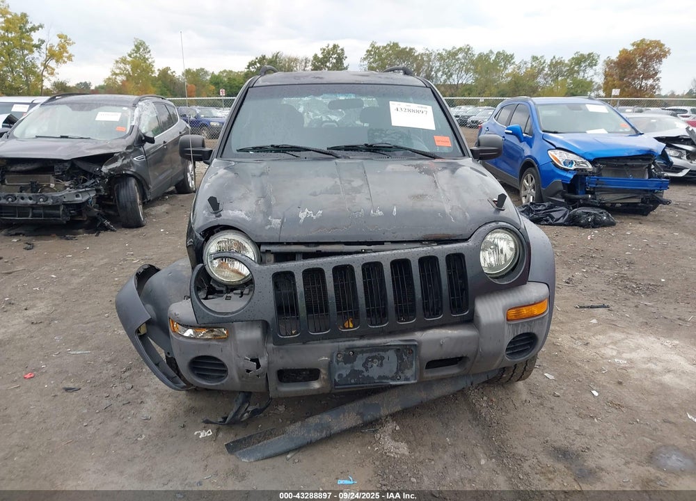 2003 JEEP LIBERTY SPORT VIN: 1J4GL48K03W566271