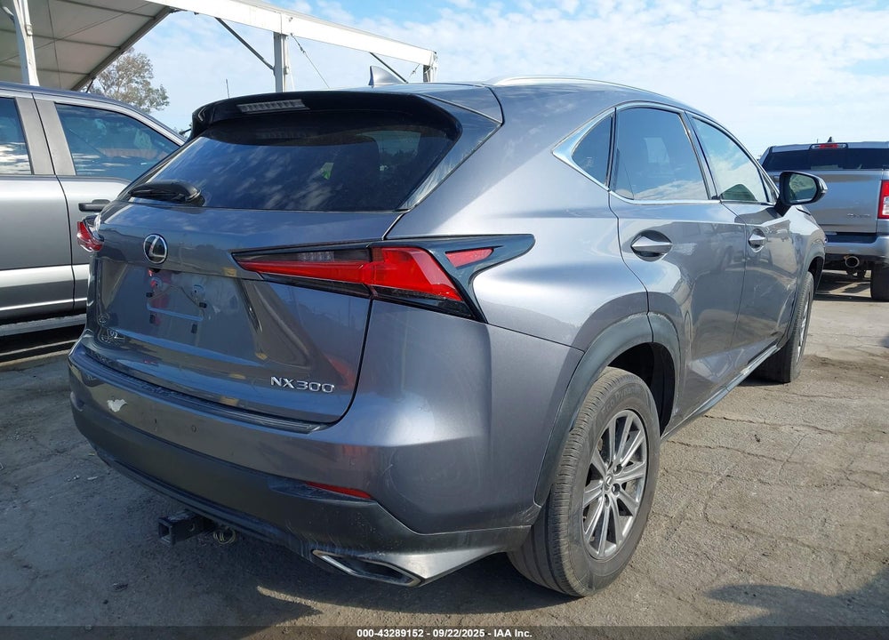 2019 LEXUS NX 300 VIN: JTJYARBZ5K2117853