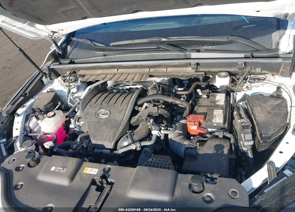 2024 LEXUS NX 350 F SPORT HANDLING VIN: 2T2KGCEZ5RC040893