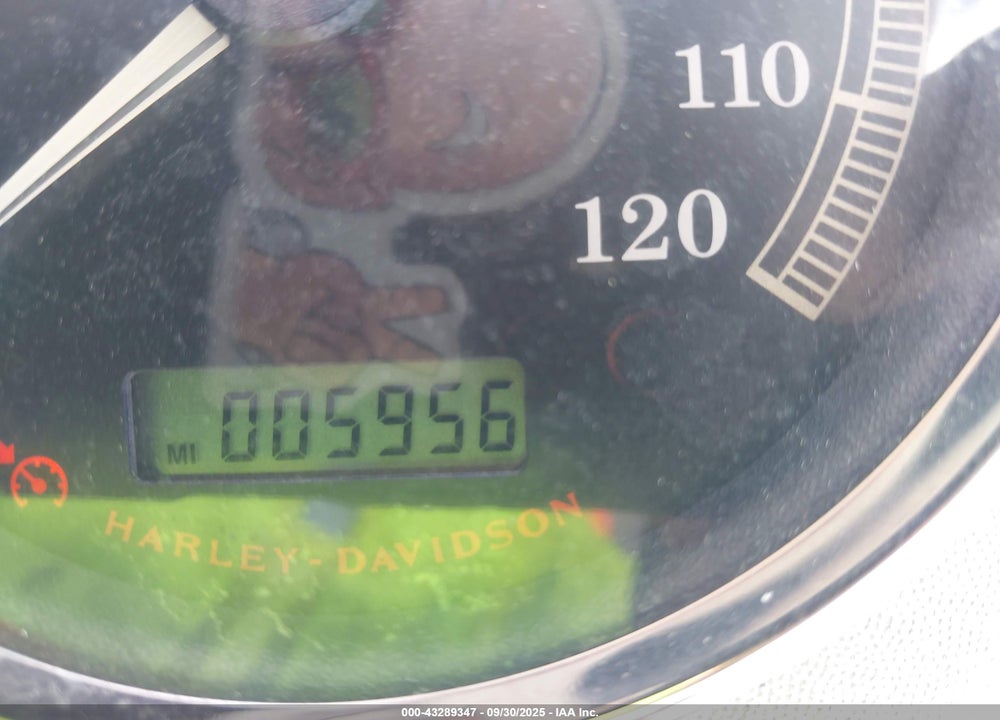 2007 HARLEY-DAVIDSON FLHRCI VIN: 1HD1FR4337Y609766