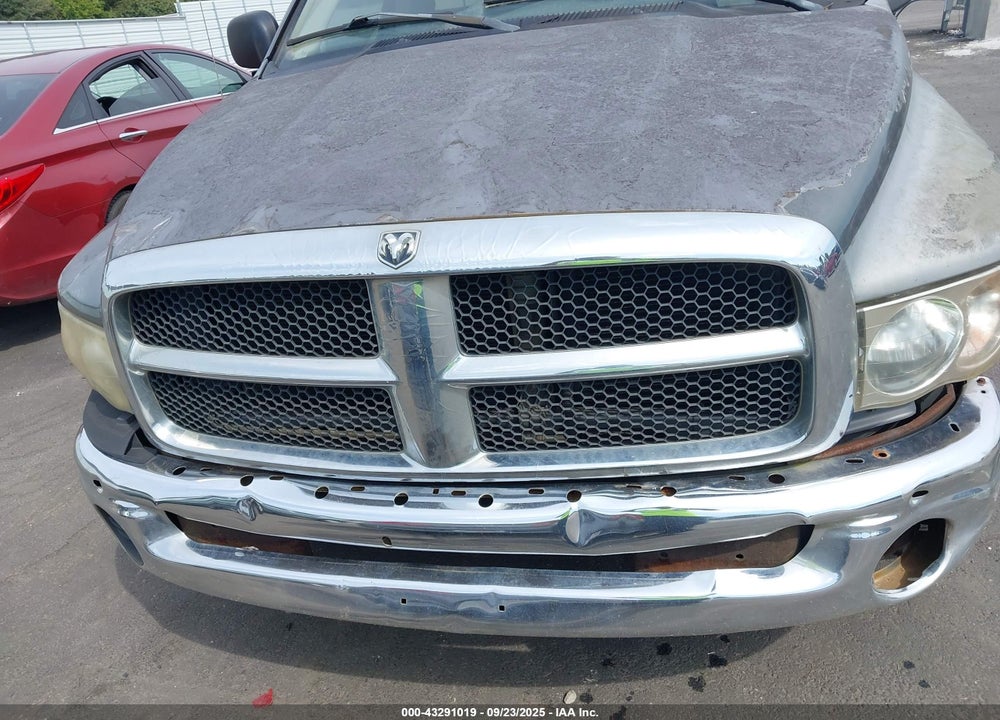 2002 DODGE RAM 1500 VIN: 1D7HA16K82J258834