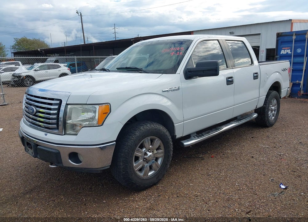 2010 FORD F-150 VIN: 1FTEW1E87AFC50651