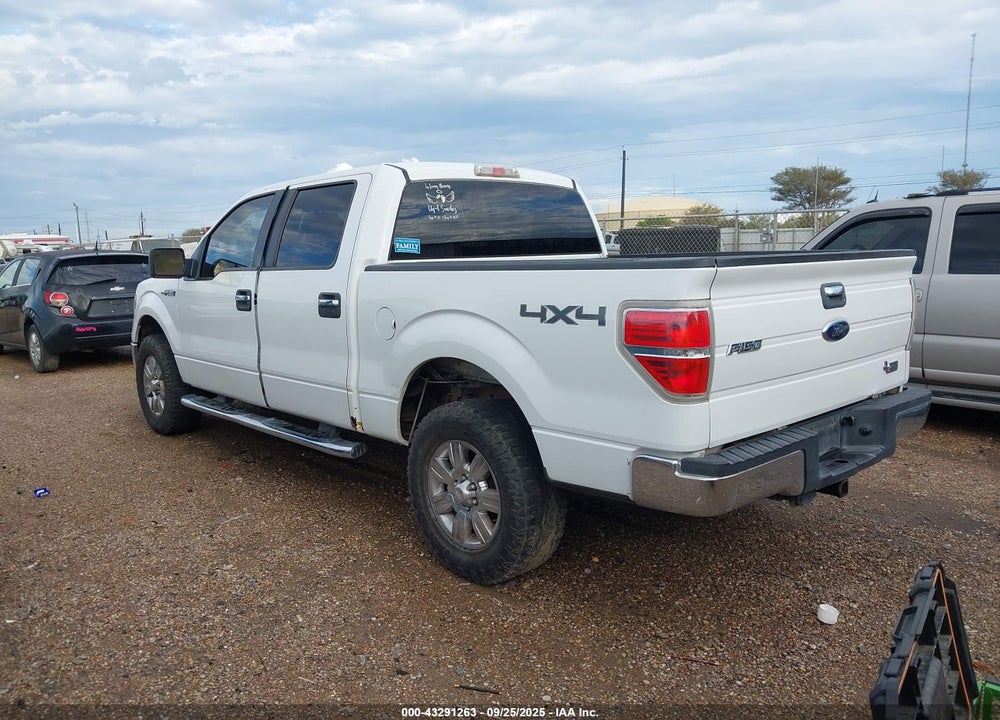 2010 FORD F-150 VIN: 1FTEW1E87AFC50651