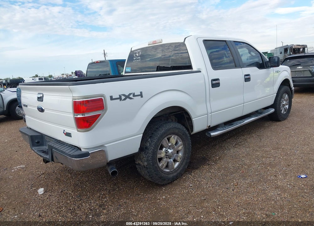2010 FORD F-150 VIN: 1FTEW1E87AFC50651