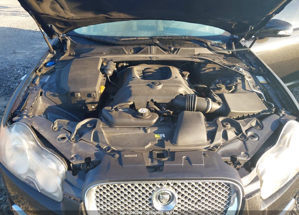 2009 JAGUAR XF PREMIUM LUXURY VIN: SAJWA06B89HR08762