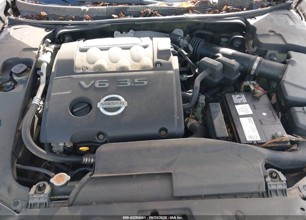 2007 NISSAN MAXIMA VIN: 1N4BA41E07C817748