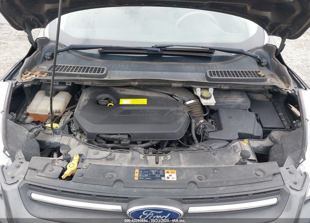 2015 FORD ESCAPE VIN: 1FMCU0GX1FUB79862
