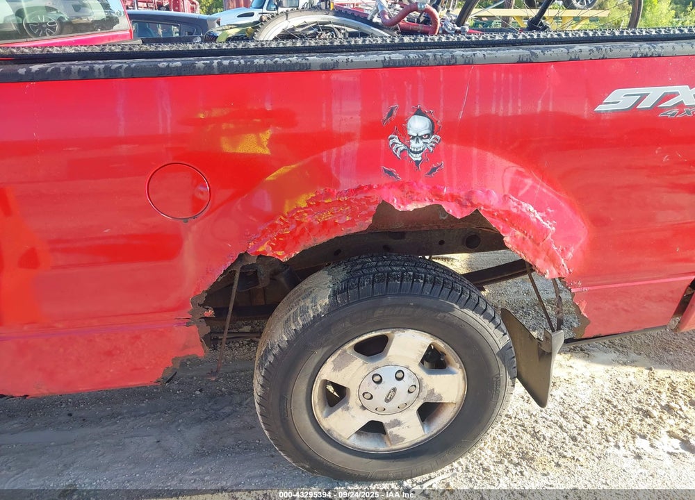 2006 FORD F-150 VIN: 1FTRX14W96FA70075